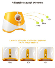 Rigshru 12-pack dog balls provide safe play for small breeds.