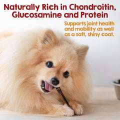 Riley's beef collagen sticks texture close-up, showcasing a dense chew for extended gnaw sessions.