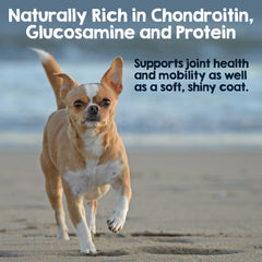 Riley's Steer Bully Stick odor-free chew for clean indoor treats.