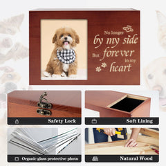 RINVEE pet urn safety lock ensures secure storage of memory.