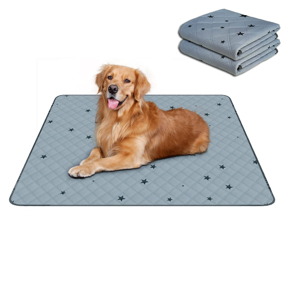 RIOUSSI Washable Pee Pad with absorbent top sheet keeps floors clean for potty training.