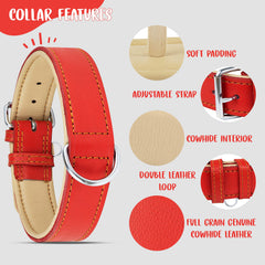 Riparo red leather dog collar with tag holder for easy identification.