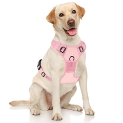 Rnivvi No Pull Harness back view pink shows secure back clip