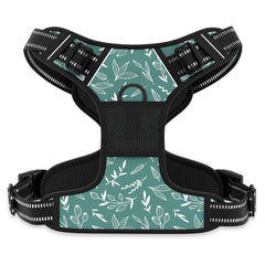 Rnivvi no-pull-dog-harness front clip for easier control during walks.