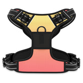 Rnivvi no pull harness abstract gradient front clip aids gentle control on walks