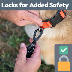 Roam Gear weatherproof half-inch rope leash withstands rain and rugged outdoor use.
