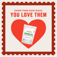 Rocco & Roxie cat probiotics chews close-up highlighting chicken flavor
