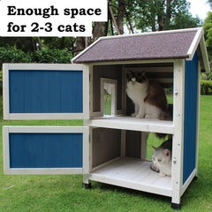 Rockever outdoor cat house spacious interior image highlights area for feral cats to explore.