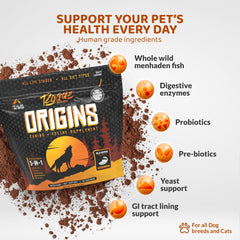 Rogue Pet Science Origins 5-in-1 powder in dish shows mealtime topper potential.