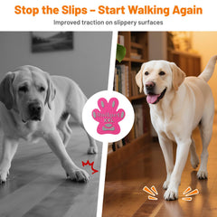 Roilpet traction pad close-up highlights breathable material and grip texture.