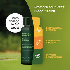 Rooted Owl Blood Support capsules closeup emphasizing iron-rich spirulina for red cell support.