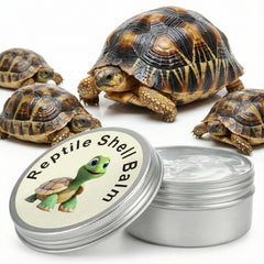 ropto Reptile Shell Balm hand applying balm to a dry shell