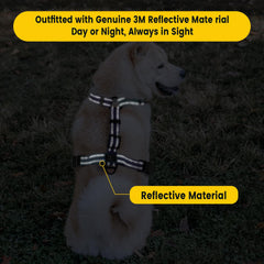 Roses&Poetry harness padded handle offers comfortable control during sessions.