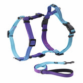 Roses&Poetry puppy harness back-attachment for secure daily walks.