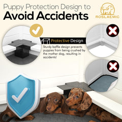 Roslaemic whelping box step design demonstrates easy dam and puppy access