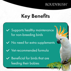 Roudybush Daily Maintenance nutrition balance image communicates a well-rounded diet for small birds.