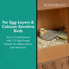 Roudybush label image shows 11% protein, 9% fat supporting lively small birds.