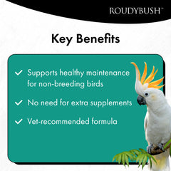 Roudybush transition pellets ideal for swapping foods