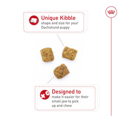 Portion bowl with Royal Canin Dachshund Puppy dry food promoting small-meal portion control