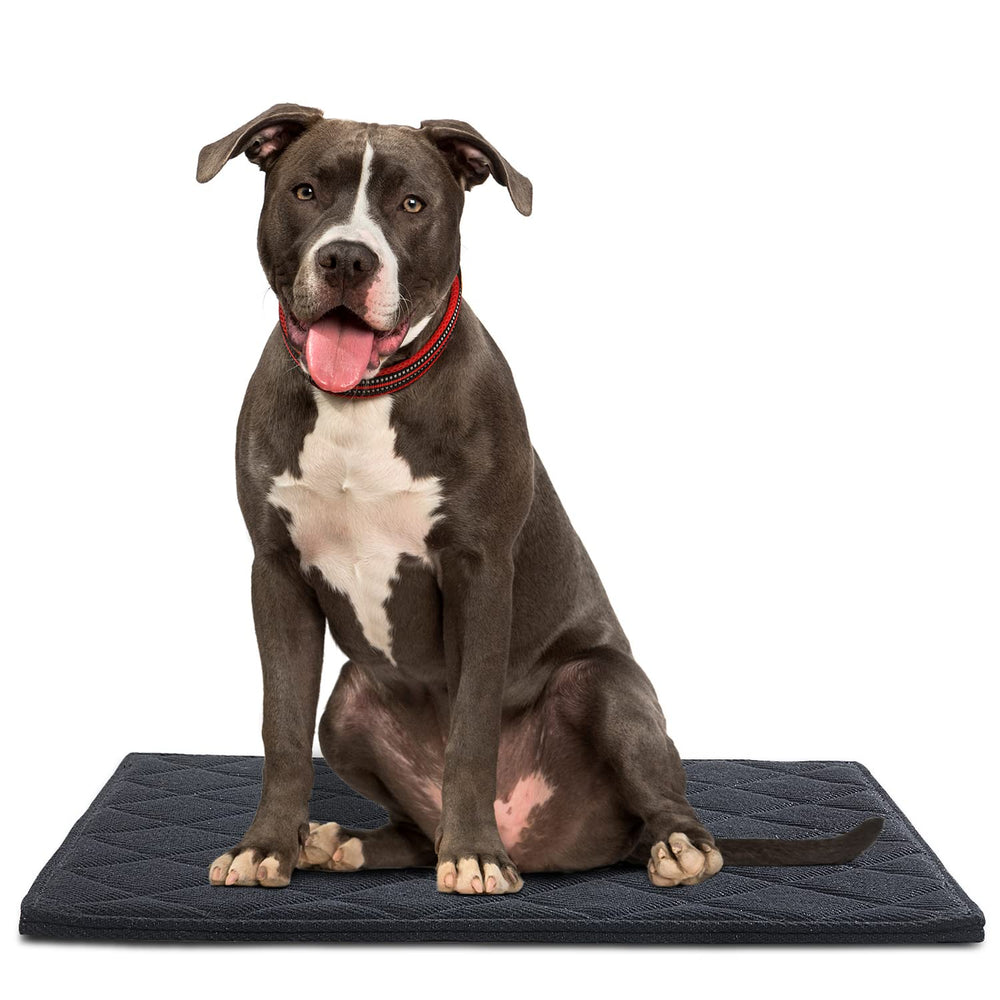 ROYALAY chewproof crate bed fits standard crate for tough chewers.