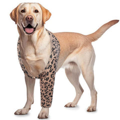 ROZKITCH dog elbow sleeve on front left leg showing breathable fabric for comfortable recovery