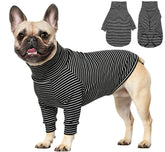ROZKITCH dog fleece sweater for small dogs — front view with leash hole for easy daily walks.