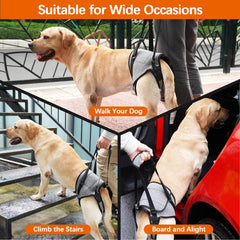 ROZKITCH Dog Lift Harness side view for quick rear-leg assistance