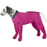 ROZKITCH Recovery Suit full coverage on a ros red 2XL dog for wound protection.