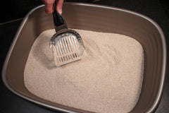 RSVP Endurance kitty scoop ergonomic handle for comfortable daily scooping.