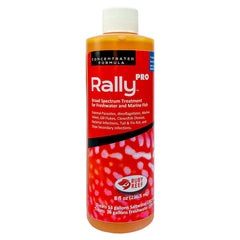 Ruby Reef Rally Pro bottle closeup showing copper-free fish treatment benefits