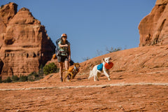 Ruffwear Camp Flyer compact, packable frisbee for on-the-move play.