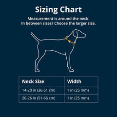 Ruffwear Confluence odor-resistant-webbing demonstrates easy-clean performance after water days