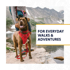 Ruffwear Front Range collar Tubelok webbing close-up shows colorfast durability.