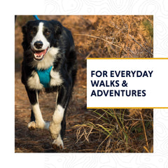 Ruffwear Front Range Leash traffic-handle enables quick restraint in crowded areas.