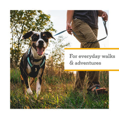 Ruffwear Hi & Light four-point adjustment close-up shows snug fit for dogs