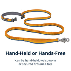 Ruffwear Roamer Bungee leash accessory-loop illustrates convenient pickup-bag clip storage.