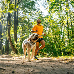 Ruffwear Swamp Cooler being soaked to activate evaporative cooling on a hot hike.