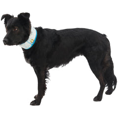 Ruffwear Biolumin Blue neck gaiter fabric close-up highlights stretch-fit comfort.