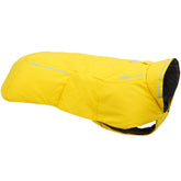 Ruffwear Vert Dog Winter Jacket on a dog during a rainy walk, dry and protected