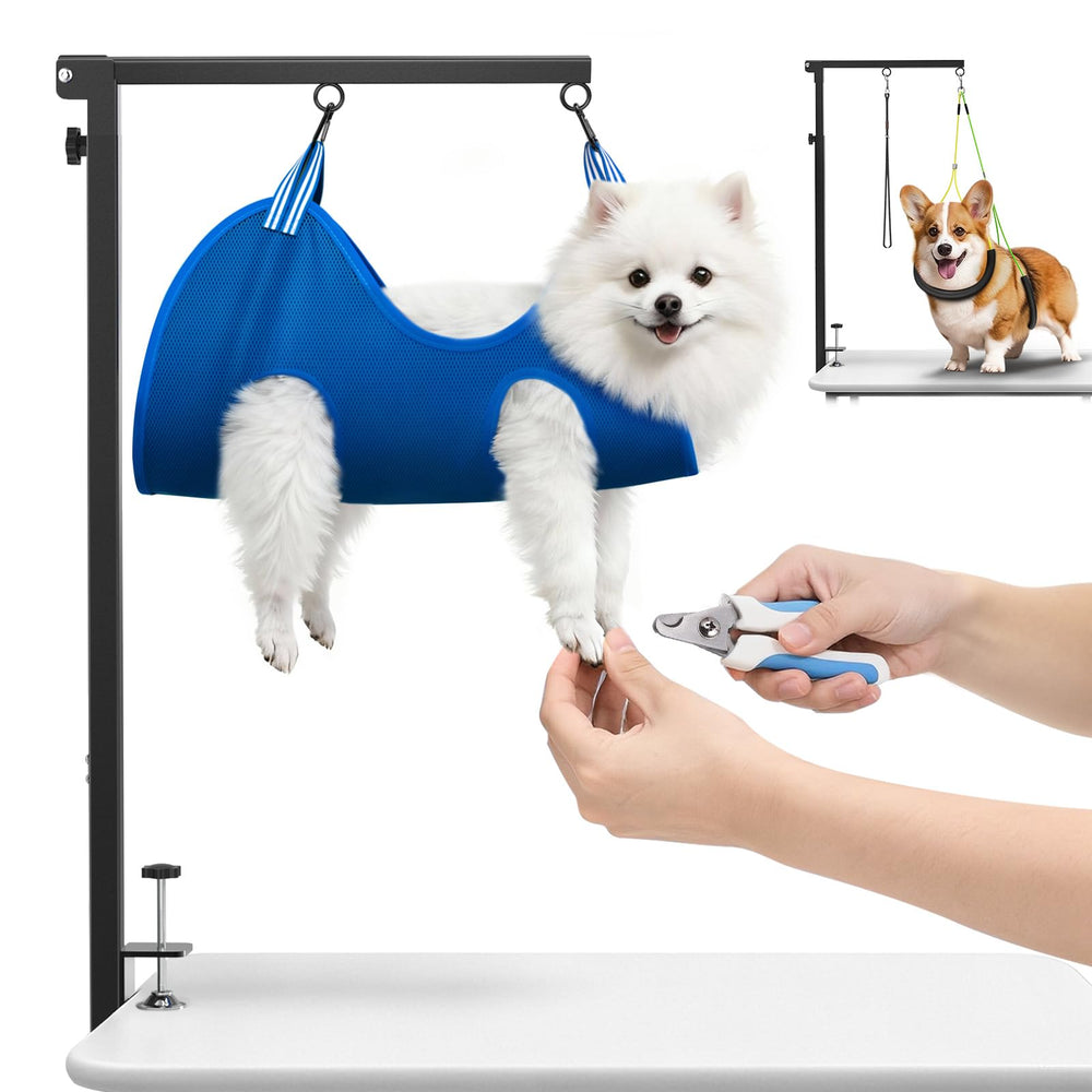 Ruiony dog grooming arm frame assembly showing sturdy stainless steel construction for stability