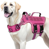 RunFido dog harness front view showing no pull control for training.