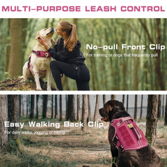 RunFido harness featuring MOLLE system for accessory attachments on long hikes.