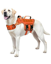 RunFido large dog harness with no-pull front-clip for better walking control.