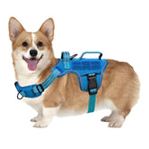RunFido small dog harness quick-release buckle for easy on and off during walks