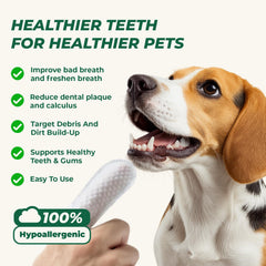 RunyePet Pet Dental Finger Wipes demonstrate gentle cleaning for dogs and cats.
