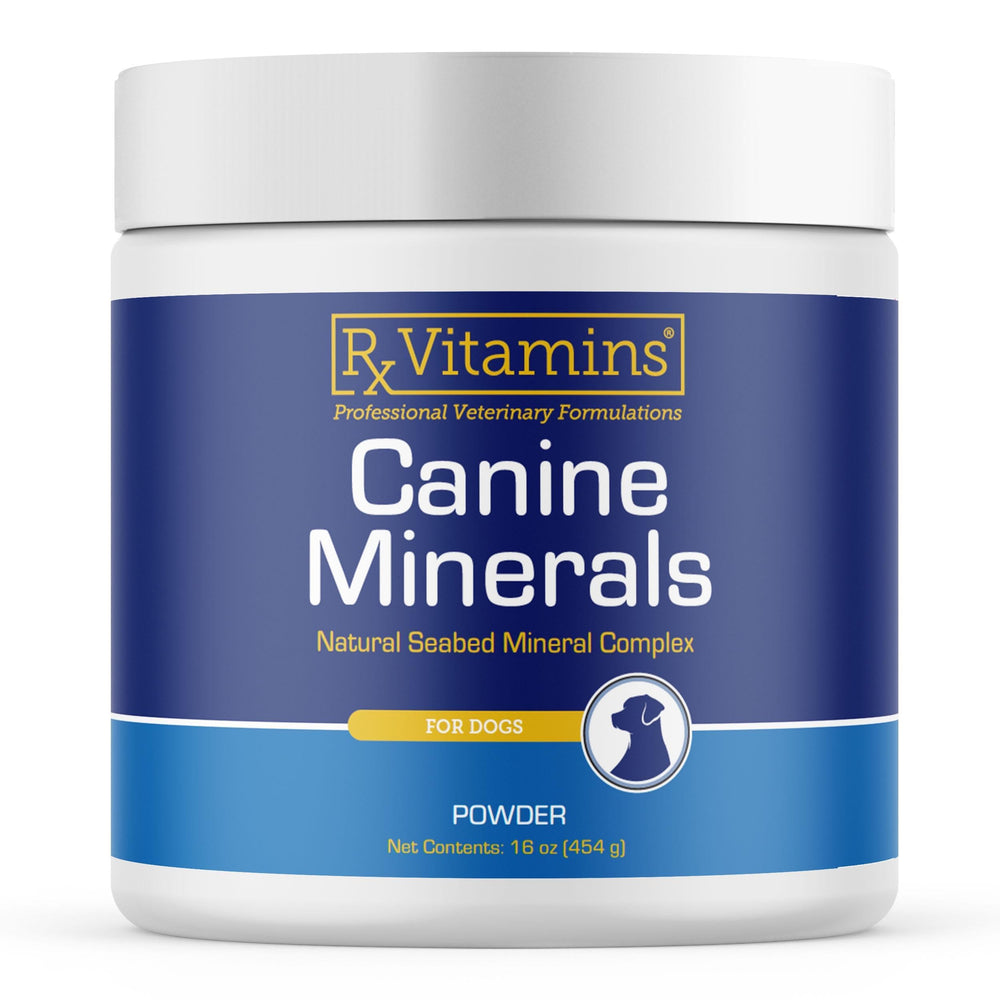 Rx Vitamins Canine Minerals bottle label highlights calcium and minerals for canine bone health.