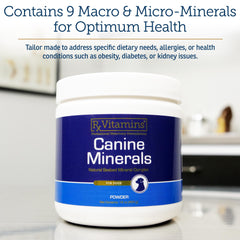 Rx Vitamins Canine Minerals sprinkled on dog meal as a convenient daily topper.