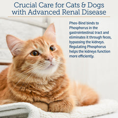 Rx Vitamins Phos-Bind pet meal mixing scene highlighting simple administration.