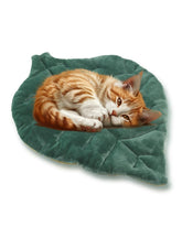 Almohadilla Rzxlszy para gatos con hoja y tamaño 26x20 para descanso cómodo