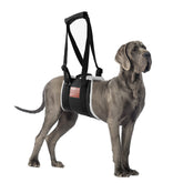 S-ETOVUS dog sling back leg support improves mobility and stair safety
